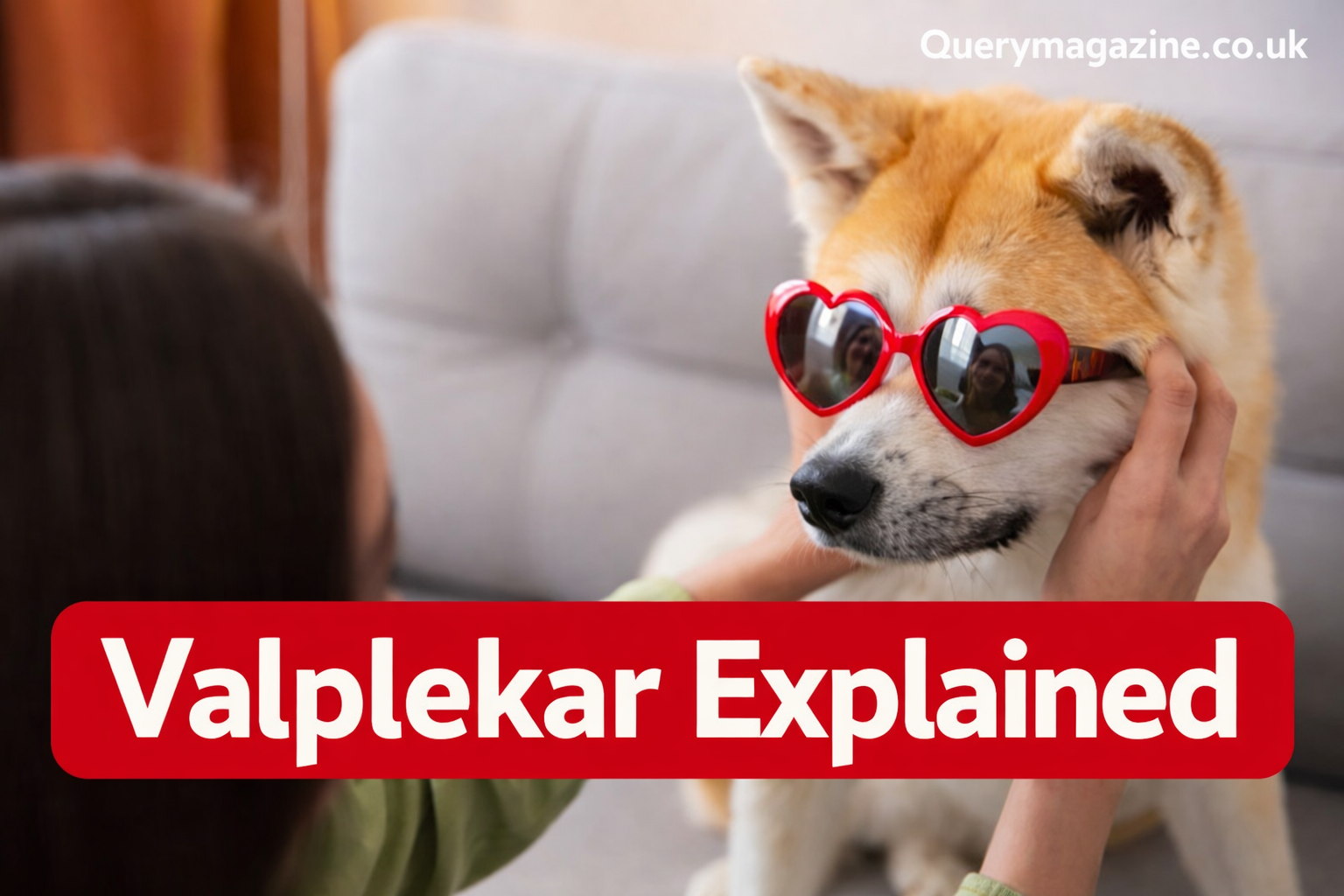 Valplekar Explained: Meaning, Origins, Puppy Training Benefits & Modern Applications