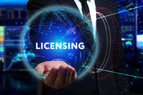 Navigating the World of Software Licensing
